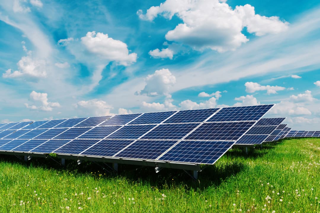 Solar panels on green grass